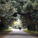 진화목장 이미지