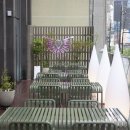 노비아 에 노비오 - 강남구 | 노비아 에 노비오