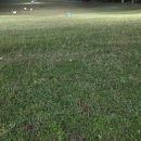 라온 골프연습장 이미지