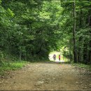 마동동사무소 이미지