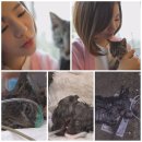 써니농장 이미지