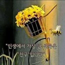 산그린 이미지