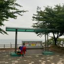 [충남 당진 캠핑장] 당진해양캠핑공원 (삽교호 캠핑장)