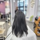 엘르리헤어 이미지