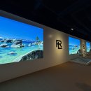 럭셔리 브랜드 랄프로렌 매장, 프리미엄 벽면 매립형 LED 디스플레이 시공 후기 이미지