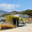 김천시립박물관 이미지