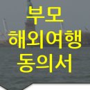 솔루션(SOLUTION) 번역행정사  이미지