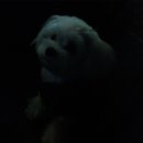 우리단비랑 이미지