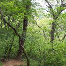 구암동243 이미지