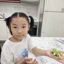 아트 클레이(6세 이상) | 전주 송천동 문화센터 MAXX송천점 키즈아트 특강 거북이 비누클레이 만들기 만4~8세 아이와 즐긴 특별한...