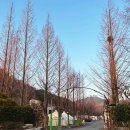 밀양캠핑장추천 밀양사계절캠핑장ㅣ드림마트 밀양산외체육공원 주유소가 근처에 있어요