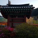 홍정희효자문 이미지