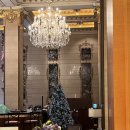 호텔우리 | 명동 롯데호텔 무궁화 초스몰웨딩 후기✨ 우리다운 가족 결혼식