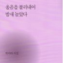 박미라 시집 ＜울음을 불러내어 밤새 놀았다＞ 도서출판 북인 이미지