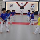 에이스태권도 이미지