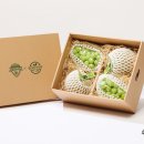 북전주모터스 이미지