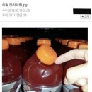 용장글램핑 이미지