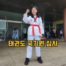 한림태권도체육관 이미지