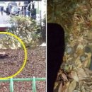 인천중학교 이미지