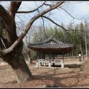 고봉문집목판(빙월당) | 충효의 정자 광주 칠송정(七松亭)과 월봉서원(月峯書院)