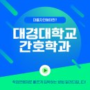 대경대학교 | 대경대학교 간호학과 고졸도 가능했던 후기