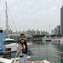 부산여행추천🌊🌊 부산 요트 투어 위드요트 후기와 광안리 밀락더마켓 웨이팅 이용 방법과 방문 후기