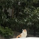 GS25남천코오롱점 | 2025.09.15.~09.21.