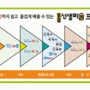 홍선생미술은평지사 이미지
