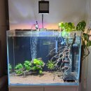 바브네이쳐 이미지