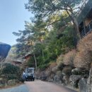 힐링포레 | 대구 가창 호텔드포레 후기 아이랑 가기 좋은 힐링 숙소 (네이처파크 무료)