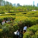 부산시민공원 이미지