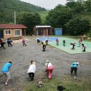 은골구기자마을 네이버블로그