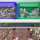 바다어시장 이미지