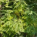 활터어린이공원 이미지