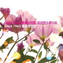 풀꽃스튜디오사진관