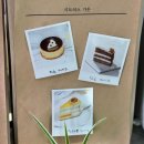 고양이랑 | 시트러스가드닝카페 | 제주도 협재 감성카페 추천 | 고양이랑 힐링 가능한 힐링카페 리얼후기