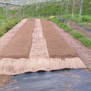 성토목장 이미지