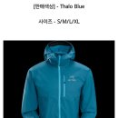 아크테릭스 남자 봄가을자켓 팜니다 이미지