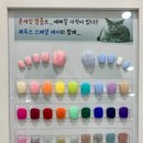 레푸스 부산대연점