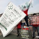 그린피스약국 이미지