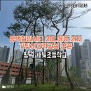 평택새빛초등학교병설유치원 이미지