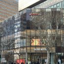 (주)영롱 | 올리브베러 광화문 유산균추천 약사브랜드 영롱