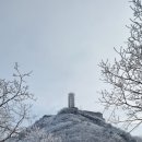 오도산 자연휴양림 이미지