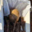 천명전자 | 묘지이장안식처#304 평택 고덕 지구 합장묘 묘지 개장 후기