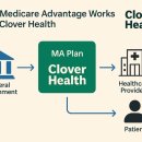 클로버메디케어 이미지