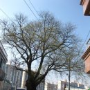 천내2리경로당 이미지