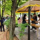 한국육영학교 연합뉴스