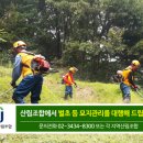 춘천시산림조합 이미지