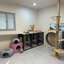 동물보육원 김포지부 이미지