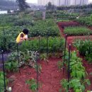 어진농장 이미지